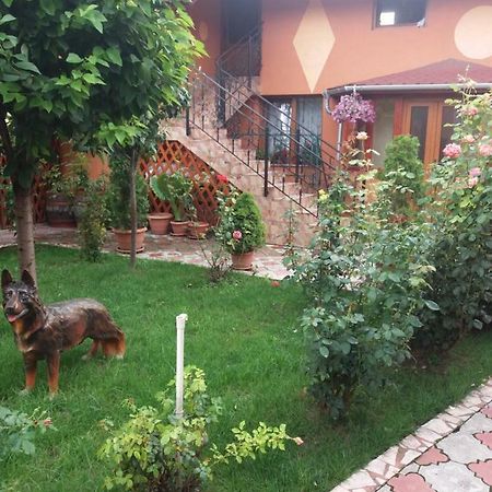 Olimpia Apartments Алба Юлия Екстериор снимка