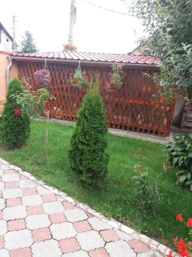 Olimpia Apartments Алба Юлия Екстериор снимка