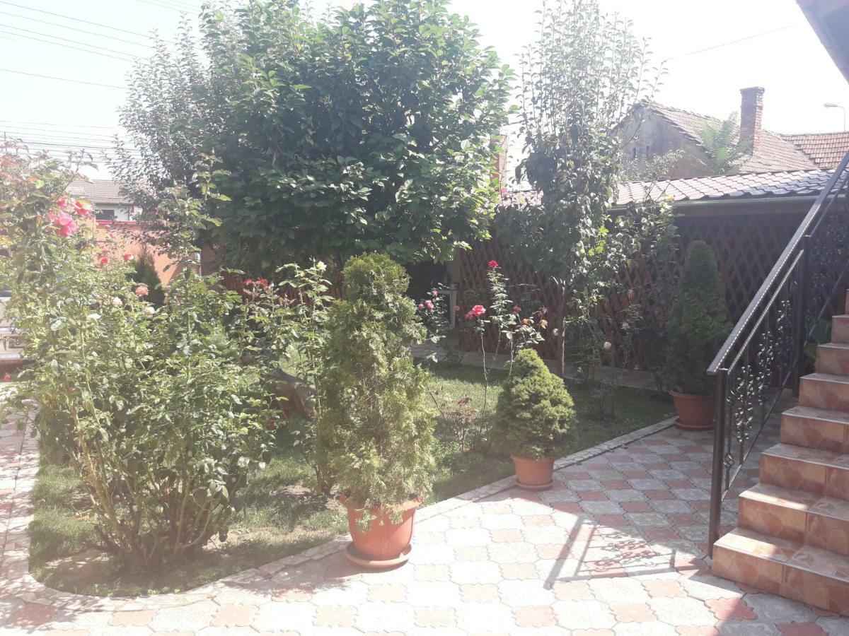 Olimpia Apartments Алба Юлия Екстериор снимка