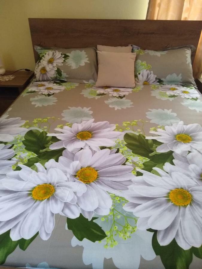 Olimpia Apartments Алба Юлия Екстериор снимка